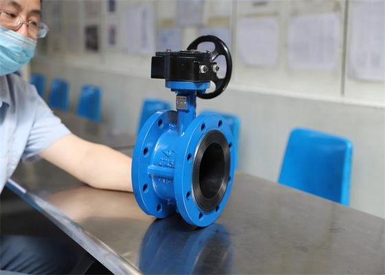 Line Nbr Seal Ring Flanged Butterfly Valve Cast Iron Material 125mm Size