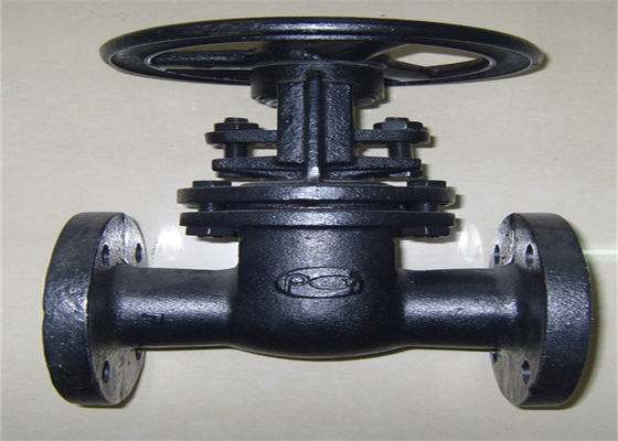 Gost Standard 4 Gate Valve Flanged Double Disc Brass Seat Dn200