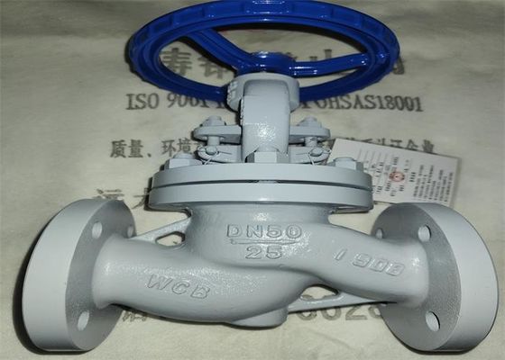 Carbon Steel Flange End Globe Valve 425℃ Temperature Steam Medium
