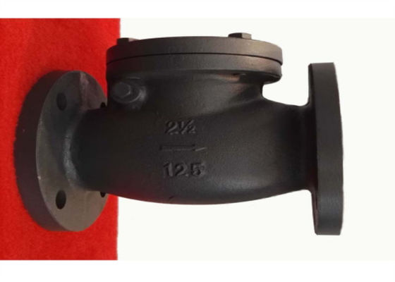 Size 2" Flanged Swing Check Valve On Pipeline Of Reclaimed Water