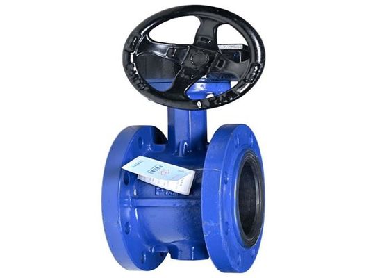 Line Nbr Seal Ring Flanged Butterfly Valve Cast Iron Material 125mm Size
